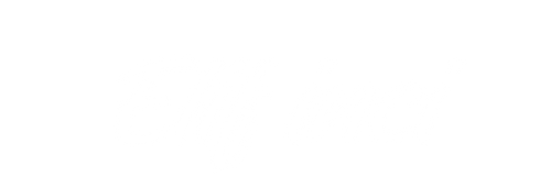 Diyetisyen Elif İnci